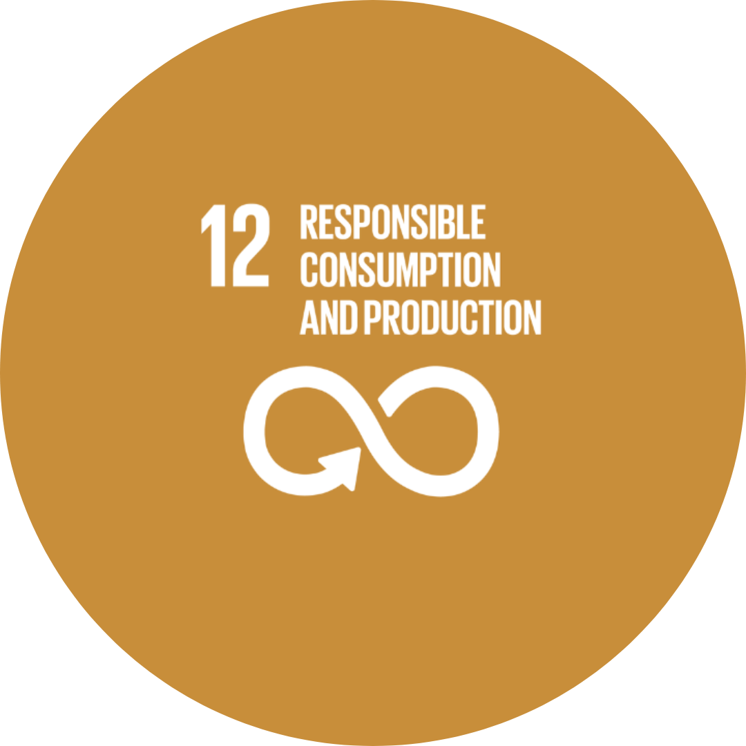 SDG 12 Responsible Consumption and Production, Nachhaltiger Konsum und Produktion Buy Food with Plastic