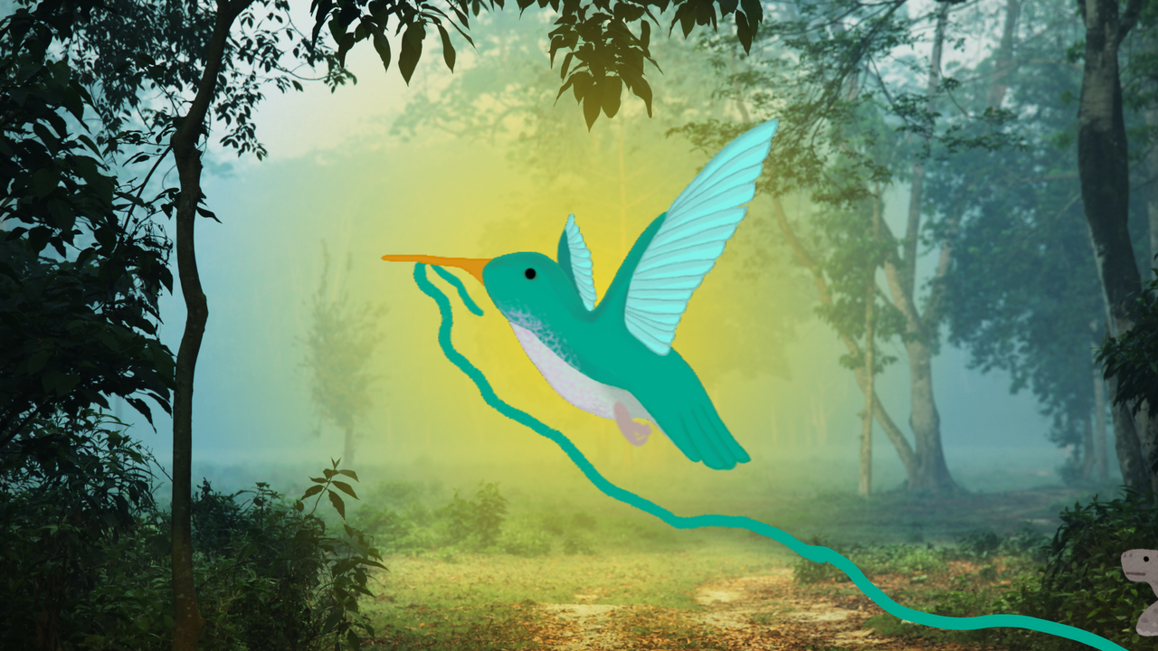 Auch ein kleiner Kolibri kann Veränderungen bewirken