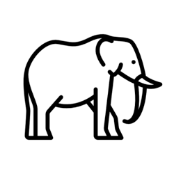 Elefant Mitglied